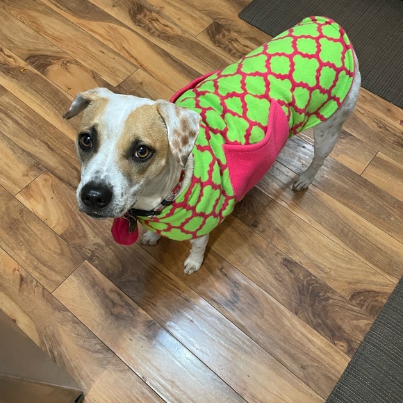 Meet your Posher, Dawn - Picture 7 of 7